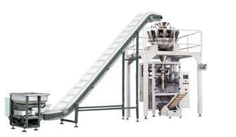 大剂量流体包装机 全自动液体包装解决方案的视觉盛宴